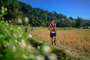 BIB: 
                            <button type="button" onclick="openModal(26576157)" class="btn btn-primary btn-sm float-right btn-popup" data-toggle="modal" data-target=".modal-high-quality">
                        <i class="fas fa-shopping-cart"></i> Add to Cart
                    </button>
                                            <button type="button" onclick="isThisMe(26576157, true)" class="btn btn-success btn-sm float-right btn-popup btn-isme hidden" data-toggle="tooltip" data-placement="bottom" title="นี่คือรูปของคุณใช่ไหม คลิกที่นี่เพื่อเอาเข้าอัลบั้ม">
                        <i class="fas fa-plus"></i> Add to album
                    </button>
                    <button type="button" onclick="isThisMe(26576157, false)" class="btn btn-warning btn-sm float-right btn-popup btn-isnotme hidden">
                        <i class="fas fa-ban"></i> Remove from album
                    </button>