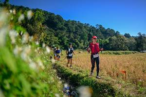 BIB: 
                            <button type="button" onclick="openModal(26571741)" class="btn btn-primary btn-sm float-right btn-popup" data-toggle="modal" data-target=".modal-high-quality">
                        <i class="fas fa-shopping-cart"></i> Add to Cart
                    </button>
                                            <button type="button" onclick="isThisMe(26571741, true)" class="btn btn-success btn-sm float-right btn-popup btn-isme hidden" data-toggle="tooltip" data-placement="bottom" title="นี่คือรูปของคุณใช่ไหม คลิกที่นี่เพื่อเอาเข้าอัลบั้ม">
                        <i class="fas fa-plus"></i> Add to album
                    </button>
                    <button type="button" onclick="isThisMe(26571741, false)" class="btn btn-warning btn-sm float-right btn-popup btn-isnotme hidden">
                        <i class="fas fa-ban"></i> Remove from album
                    </button>