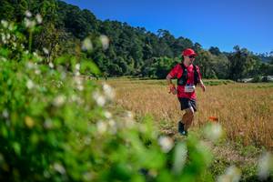 BIB: 
                            <button type="button" onclick="openModal(26581443)" class="btn btn-primary btn-sm float-right btn-popup" data-toggle="modal" data-target=".modal-high-quality">
                        <i class="fas fa-shopping-cart"></i> Add to Cart
                    </button>
                                            <button type="button" onclick="isThisMe(26581443, true)" class="btn btn-success btn-sm float-right btn-popup btn-isme hidden" data-toggle="tooltip" data-placement="bottom" title="นี่คือรูปของคุณใช่ไหม คลิกที่นี่เพื่อเอาเข้าอัลบั้ม">
                        <i class="fas fa-plus"></i> Add to album
                    </button>
                    <button type="button" onclick="isThisMe(26581443, false)" class="btn btn-warning btn-sm float-right btn-popup btn-isnotme hidden">
                        <i class="fas fa-ban"></i> Remove from album
                    </button>