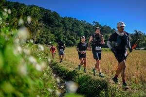 BIB: 
                            <button type="button" onclick="openModal(26575665)" class="btn btn-primary btn-sm float-right btn-popup" data-toggle="modal" data-target=".modal-high-quality">
                        <i class="fas fa-shopping-cart"></i> Add to Cart
                    </button>
                                            <button type="button" onclick="isThisMe(26575665, true)" class="btn btn-success btn-sm float-right btn-popup btn-isme hidden" data-toggle="tooltip" data-placement="bottom" title="นี่คือรูปของคุณใช่ไหม คลิกที่นี่เพื่อเอาเข้าอัลบั้ม">
                        <i class="fas fa-plus"></i> Add to album
                    </button>
                    <button type="button" onclick="isThisMe(26575665, false)" class="btn btn-warning btn-sm float-right btn-popup btn-isnotme hidden">
                        <i class="fas fa-ban"></i> Remove from album
                    </button>