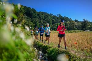 BIB: 
                            <button type="button" onclick="openModal(26574636)" class="btn btn-primary btn-sm float-right btn-popup" data-toggle="modal" data-target=".modal-high-quality">
                        <i class="fas fa-shopping-cart"></i> Add to Cart
                    </button>
                                            <button type="button" onclick="isThisMe(26574636, true)" class="btn btn-success btn-sm float-right btn-popup btn-isme hidden" data-toggle="tooltip" data-placement="bottom" title="นี่คือรูปของคุณใช่ไหม คลิกที่นี่เพื่อเอาเข้าอัลบั้ม">
                        <i class="fas fa-plus"></i> Add to album
                    </button>
                    <button type="button" onclick="isThisMe(26574636, false)" class="btn btn-warning btn-sm float-right btn-popup btn-isnotme hidden">
                        <i class="fas fa-ban"></i> Remove from album
                    </button>