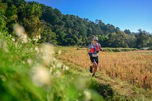 BIB: 
                            <button type="button" onclick="openModal(26570421)" class="btn btn-primary btn-sm float-right btn-popup" data-toggle="modal" data-target=".modal-high-quality">
                        <i class="fas fa-shopping-cart"></i> Add to Cart
                    </button>
                                            <button type="button" onclick="isThisMe(26570421, true)" class="btn btn-success btn-sm float-right btn-popup btn-isme hidden" data-toggle="tooltip" data-placement="bottom" title="นี่คือรูปของคุณใช่ไหม คลิกที่นี่เพื่อเอาเข้าอัลบั้ม">
                        <i class="fas fa-plus"></i> Add to album
                    </button>
                    <button type="button" onclick="isThisMe(26570421, false)" class="btn btn-warning btn-sm float-right btn-popup btn-isnotme hidden">
                        <i class="fas fa-ban"></i> Remove from album
                    </button>