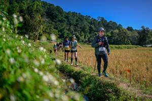 BIB: 
                            <button type="button" onclick="openModal(26581714)" class="btn btn-primary btn-sm float-right btn-popup" data-toggle="modal" data-target=".modal-high-quality">
                        <i class="fas fa-shopping-cart"></i> Add to Cart
                    </button>
                                            <button type="button" onclick="isThisMe(26581714, true)" class="btn btn-success btn-sm float-right btn-popup btn-isme hidden" data-toggle="tooltip" data-placement="bottom" title="นี่คือรูปของคุณใช่ไหม คลิกที่นี่เพื่อเอาเข้าอัลบั้ม">
                        <i class="fas fa-plus"></i> Add to album
                    </button>
                    <button type="button" onclick="isThisMe(26581714, false)" class="btn btn-warning btn-sm float-right btn-popup btn-isnotme hidden">
                        <i class="fas fa-ban"></i> Remove from album
                    </button>