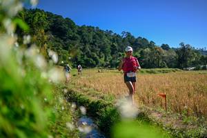 BIB: 
                            <button type="button" onclick="openModal(26574895)" class="btn btn-primary btn-sm float-right btn-popup" data-toggle="modal" data-target=".modal-high-quality">
                        <i class="fas fa-shopping-cart"></i> Add to Cart
                    </button>
                                            <button type="button" onclick="isThisMe(26574895, true)" class="btn btn-success btn-sm float-right btn-popup btn-isme hidden" data-toggle="tooltip" data-placement="bottom" title="นี่คือรูปของคุณใช่ไหม คลิกที่นี่เพื่อเอาเข้าอัลบั้ม">
                        <i class="fas fa-plus"></i> Add to album
                    </button>
                    <button type="button" onclick="isThisMe(26574895, false)" class="btn btn-warning btn-sm float-right btn-popup btn-isnotme hidden">
                        <i class="fas fa-ban"></i> Remove from album
                    </button>