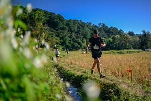 BIB: 
                            <button type="button" onclick="openModal(26573594)" class="btn btn-primary btn-sm float-right btn-popup" data-toggle="modal" data-target=".modal-high-quality">
                        <i class="fas fa-shopping-cart"></i> Add to Cart
                    </button>
                                            <button type="button" onclick="isThisMe(26573594, true)" class="btn btn-success btn-sm float-right btn-popup btn-isme hidden" data-toggle="tooltip" data-placement="bottom" title="นี่คือรูปของคุณใช่ไหม คลิกที่นี่เพื่อเอาเข้าอัลบั้ม">
                        <i class="fas fa-plus"></i> Add to album
                    </button>
                    <button type="button" onclick="isThisMe(26573594, false)" class="btn btn-warning btn-sm float-right btn-popup btn-isnotme hidden">
                        <i class="fas fa-ban"></i> Remove from album
                    </button>