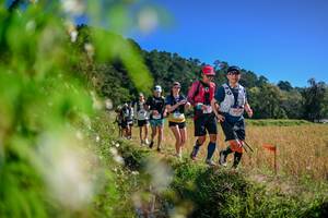 BIB: 
                            <button type="button" onclick="openModal(26580951)" class="btn btn-primary btn-sm float-right btn-popup" data-toggle="modal" data-target=".modal-high-quality">
                        <i class="fas fa-shopping-cart"></i> Add to Cart
                    </button>
                                            <button type="button" onclick="isThisMe(26580951, true)" class="btn btn-success btn-sm float-right btn-popup btn-isme hidden" data-toggle="tooltip" data-placement="bottom" title="นี่คือรูปของคุณใช่ไหม คลิกที่นี่เพื่อเอาเข้าอัลบั้ม">
                        <i class="fas fa-plus"></i> Add to album
                    </button>
                    <button type="button" onclick="isThisMe(26580951, false)" class="btn btn-warning btn-sm float-right btn-popup btn-isnotme hidden">
                        <i class="fas fa-ban"></i> Remove from album
                    </button>