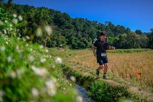 BIB: 
                            <button type="button" onclick="openModal(26582552)" class="btn btn-primary btn-sm float-right btn-popup" data-toggle="modal" data-target=".modal-high-quality">
                        <i class="fas fa-shopping-cart"></i> Add to Cart
                    </button>
                                            <button type="button" onclick="isThisMe(26582552, true)" class="btn btn-success btn-sm float-right btn-popup btn-isme hidden" data-toggle="tooltip" data-placement="bottom" title="นี่คือรูปของคุณใช่ไหม คลิกที่นี่เพื่อเอาเข้าอัลบั้ม">
                        <i class="fas fa-plus"></i> Add to album
                    </button>
                    <button type="button" onclick="isThisMe(26582552, false)" class="btn btn-warning btn-sm float-right btn-popup btn-isnotme hidden">
                        <i class="fas fa-ban"></i> Remove from album
                    </button>