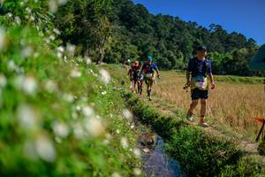 BIB: 
                            <button type="button" onclick="openModal(26583226)" class="btn btn-primary btn-sm float-right btn-popup" data-toggle="modal" data-target=".modal-high-quality">
                        <i class="fas fa-shopping-cart"></i> Add to Cart
                    </button>
                                            <button type="button" onclick="isThisMe(26583226, true)" class="btn btn-success btn-sm float-right btn-popup btn-isme hidden" data-toggle="tooltip" data-placement="bottom" title="นี่คือรูปของคุณใช่ไหม คลิกที่นี่เพื่อเอาเข้าอัลบั้ม">
                        <i class="fas fa-plus"></i> Add to album
                    </button>
                    <button type="button" onclick="isThisMe(26583226, false)" class="btn btn-warning btn-sm float-right btn-popup btn-isnotme hidden">
                        <i class="fas fa-ban"></i> Remove from album
                    </button>