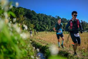 BIB: 
                            <button type="button" onclick="openModal(26574507)" class="btn btn-primary btn-sm float-right btn-popup" data-toggle="modal" data-target=".modal-high-quality">
                        <i class="fas fa-shopping-cart"></i> Add to Cart
                    </button>
                                            <button type="button" onclick="isThisMe(26574507, true)" class="btn btn-success btn-sm float-right btn-popup btn-isme hidden" data-toggle="tooltip" data-placement="bottom" title="นี่คือรูปของคุณใช่ไหม คลิกที่นี่เพื่อเอาเข้าอัลบั้ม">
                        <i class="fas fa-plus"></i> Add to album
                    </button>
                    <button type="button" onclick="isThisMe(26574507, false)" class="btn btn-warning btn-sm float-right btn-popup btn-isnotme hidden">
                        <i class="fas fa-ban"></i> Remove from album
                    </button>