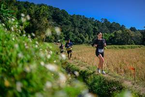 BIB: 
                            <button type="button" onclick="openModal(26582129)" class="btn btn-primary btn-sm float-right btn-popup" data-toggle="modal" data-target=".modal-high-quality">
                        <i class="fas fa-shopping-cart"></i> Add to Cart
                    </button>
                                            <button type="button" onclick="isThisMe(26582129, true)" class="btn btn-success btn-sm float-right btn-popup btn-isme hidden" data-toggle="tooltip" data-placement="bottom" title="นี่คือรูปของคุณใช่ไหม คลิกที่นี่เพื่อเอาเข้าอัลบั้ม">
                        <i class="fas fa-plus"></i> Add to album
                    </button>
                    <button type="button" onclick="isThisMe(26582129, false)" class="btn btn-warning btn-sm float-right btn-popup btn-isnotme hidden">
                        <i class="fas fa-ban"></i> Remove from album
                    </button>