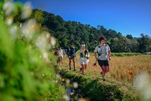 BIB: 
                            <button type="button" onclick="openModal(26572070)" class="btn btn-primary btn-sm float-right btn-popup" data-toggle="modal" data-target=".modal-high-quality">
                        <i class="fas fa-shopping-cart"></i> Add to Cart
                    </button>
                                            <button type="button" onclick="isThisMe(26572070, true)" class="btn btn-success btn-sm float-right btn-popup btn-isme hidden" data-toggle="tooltip" data-placement="bottom" title="นี่คือรูปของคุณใช่ไหม คลิกที่นี่เพื่อเอาเข้าอัลบั้ม">
                        <i class="fas fa-plus"></i> Add to album
                    </button>
                    <button type="button" onclick="isThisMe(26572070, false)" class="btn btn-warning btn-sm float-right btn-popup btn-isnotme hidden">
                        <i class="fas fa-ban"></i> Remove from album
                    </button>