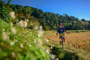 BIB: 
                            <button type="button" onclick="openModal(26571157)" class="btn btn-primary btn-sm float-right btn-popup" data-toggle="modal" data-target=".modal-high-quality">
                        <i class="fas fa-shopping-cart"></i> Add to Cart
                    </button>
                                            <button type="button" onclick="isThisMe(26571157, true)" class="btn btn-success btn-sm float-right btn-popup btn-isme hidden" data-toggle="tooltip" data-placement="bottom" title="นี่คือรูปของคุณใช่ไหม คลิกที่นี่เพื่อเอาเข้าอัลบั้ม">
                        <i class="fas fa-plus"></i> Add to album
                    </button>
                    <button type="button" onclick="isThisMe(26571157, false)" class="btn btn-warning btn-sm float-right btn-popup btn-isnotme hidden">
                        <i class="fas fa-ban"></i> Remove from album
                    </button>