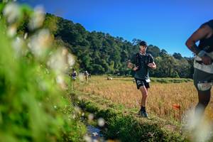 BIB: 
                            <button type="button" onclick="openModal(26571984)" class="btn btn-primary btn-sm float-right btn-popup" data-toggle="modal" data-target=".modal-high-quality">
                        <i class="fas fa-shopping-cart"></i> Add to Cart
                    </button>
                                            <button type="button" onclick="isThisMe(26571984, true)" class="btn btn-success btn-sm float-right btn-popup btn-isme hidden" data-toggle="tooltip" data-placement="bottom" title="นี่คือรูปของคุณใช่ไหม คลิกที่นี่เพื่อเอาเข้าอัลบั้ม">
                        <i class="fas fa-plus"></i> Add to album
                    </button>
                    <button type="button" onclick="isThisMe(26571984, false)" class="btn btn-warning btn-sm float-right btn-popup btn-isnotme hidden">
                        <i class="fas fa-ban"></i> Remove from album
                    </button>