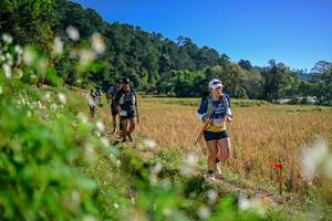 BIB: 
                            <button type="button" onclick="openModal(26576559)" class="btn btn-primary btn-sm float-right btn-popup" data-toggle="modal" data-target=".modal-high-quality">
                        <i class="fas fa-shopping-cart"></i> Add to Cart
                    </button>
                                            <button type="button" onclick="isThisMe(26576559, true)" class="btn btn-success btn-sm float-right btn-popup btn-isme hidden" data-toggle="tooltip" data-placement="bottom" title="นี่คือรูปของคุณใช่ไหม คลิกที่นี่เพื่อเอาเข้าอัลบั้ม">
                        <i class="fas fa-plus"></i> Add to album
                    </button>
                    <button type="button" onclick="isThisMe(26576559, false)" class="btn btn-warning btn-sm float-right btn-popup btn-isnotme hidden">
                        <i class="fas fa-ban"></i> Remove from album
                    </button>