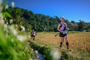 BIB: 
                            <button type="button" onclick="openModal(26575005)" class="btn btn-primary btn-sm float-right btn-popup" data-toggle="modal" data-target=".modal-high-quality">
                        <i class="fas fa-shopping-cart"></i> Add to Cart
                    </button>
                                            <button type="button" onclick="isThisMe(26575005, true)" class="btn btn-success btn-sm float-right btn-popup btn-isme hidden" data-toggle="tooltip" data-placement="bottom" title="นี่คือรูปของคุณใช่ไหม คลิกที่นี่เพื่อเอาเข้าอัลบั้ม">
                        <i class="fas fa-plus"></i> Add to album
                    </button>
                    <button type="button" onclick="isThisMe(26575005, false)" class="btn btn-warning btn-sm float-right btn-popup btn-isnotme hidden">
                        <i class="fas fa-ban"></i> Remove from album
                    </button>