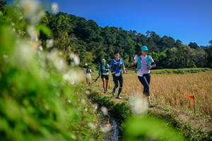 BIB: 
                            <button type="button" onclick="openModal(26574829)" class="btn btn-primary btn-sm float-right btn-popup" data-toggle="modal" data-target=".modal-high-quality">
                        <i class="fas fa-shopping-cart"></i> Add to Cart
                    </button>
                                            <button type="button" onclick="isThisMe(26574829, true)" class="btn btn-success btn-sm float-right btn-popup btn-isme hidden" data-toggle="tooltip" data-placement="bottom" title="นี่คือรูปของคุณใช่ไหม คลิกที่นี่เพื่อเอาเข้าอัลบั้ม">
                        <i class="fas fa-plus"></i> Add to album
                    </button>
                    <button type="button" onclick="isThisMe(26574829, false)" class="btn btn-warning btn-sm float-right btn-popup btn-isnotme hidden">
                        <i class="fas fa-ban"></i> Remove from album
                    </button>