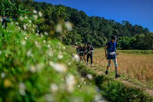 BIB: 
                            <button type="button" onclick="openModal(26583131)" class="btn btn-primary btn-sm float-right btn-popup" data-toggle="modal" data-target=".modal-high-quality">
                        <i class="fas fa-shopping-cart"></i> Add to Cart
                    </button>
                                            <button type="button" onclick="isThisMe(26583131, true)" class="btn btn-success btn-sm float-right btn-popup btn-isme hidden" data-toggle="tooltip" data-placement="bottom" title="นี่คือรูปของคุณใช่ไหม คลิกที่นี่เพื่อเอาเข้าอัลบั้ม">
                        <i class="fas fa-plus"></i> Add to album
                    </button>
                    <button type="button" onclick="isThisMe(26583131, false)" class="btn btn-warning btn-sm float-right btn-popup btn-isnotme hidden">
                        <i class="fas fa-ban"></i> Remove from album
                    </button>