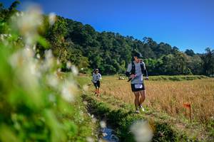 BIB: 
                            <button type="button" onclick="openModal(26572460)" class="btn btn-primary btn-sm float-right btn-popup" data-toggle="modal" data-target=".modal-high-quality">
                        <i class="fas fa-shopping-cart"></i> Add to Cart
                    </button>
                                            <button type="button" onclick="isThisMe(26572460, true)" class="btn btn-success btn-sm float-right btn-popup btn-isme hidden" data-toggle="tooltip" data-placement="bottom" title="นี่คือรูปของคุณใช่ไหม คลิกที่นี่เพื่อเอาเข้าอัลบั้ม">
                        <i class="fas fa-plus"></i> Add to album
                    </button>
                    <button type="button" onclick="isThisMe(26572460, false)" class="btn btn-warning btn-sm float-right btn-popup btn-isnotme hidden">
                        <i class="fas fa-ban"></i> Remove from album
                    </button>