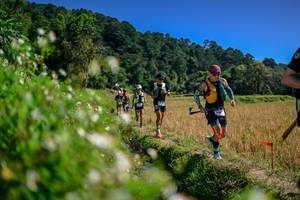 BIB: 
                            <button type="button" onclick="openModal(26582068)" class="btn btn-primary btn-sm float-right btn-popup" data-toggle="modal" data-target=".modal-high-quality">
                        <i class="fas fa-shopping-cart"></i> Add to Cart
                    </button>
                                            <button type="button" onclick="isThisMe(26582068, true)" class="btn btn-success btn-sm float-right btn-popup btn-isme hidden" data-toggle="tooltip" data-placement="bottom" title="นี่คือรูปของคุณใช่ไหม คลิกที่นี่เพื่อเอาเข้าอัลบั้ม">
                        <i class="fas fa-plus"></i> Add to album
                    </button>
                    <button type="button" onclick="isThisMe(26582068, false)" class="btn btn-warning btn-sm float-right btn-popup btn-isnotme hidden">
                        <i class="fas fa-ban"></i> Remove from album
                    </button>