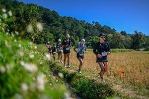 BIB: 
                            <button type="button" onclick="openModal(26582877)" class="btn btn-primary btn-sm float-right btn-popup" data-toggle="modal" data-target=".modal-high-quality">
                        <i class="fas fa-shopping-cart"></i> Add to Cart
                    </button>
                                            <button type="button" onclick="isThisMe(26582877, true)" class="btn btn-success btn-sm float-right btn-popup btn-isme hidden" data-toggle="tooltip" data-placement="bottom" title="นี่คือรูปของคุณใช่ไหม คลิกที่นี่เพื่อเอาเข้าอัลบั้ม">
                        <i class="fas fa-plus"></i> Add to album
                    </button>
                    <button type="button" onclick="isThisMe(26582877, false)" class="btn btn-warning btn-sm float-right btn-popup btn-isnotme hidden">
                        <i class="fas fa-ban"></i> Remove from album
                    </button>