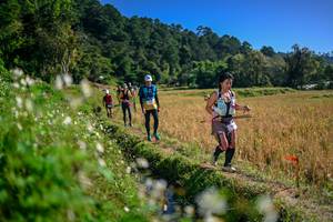 BIB: 
                            <button type="button" onclick="openModal(26575743)" class="btn btn-primary btn-sm float-right btn-popup" data-toggle="modal" data-target=".modal-high-quality">
                        <i class="fas fa-shopping-cart"></i> Add to Cart
                    </button>
                                            <button type="button" onclick="isThisMe(26575743, true)" class="btn btn-success btn-sm float-right btn-popup btn-isme hidden" data-toggle="tooltip" data-placement="bottom" title="นี่คือรูปของคุณใช่ไหม คลิกที่นี่เพื่อเอาเข้าอัลบั้ม">
                        <i class="fas fa-plus"></i> Add to album
                    </button>
                    <button type="button" onclick="isThisMe(26575743, false)" class="btn btn-warning btn-sm float-right btn-popup btn-isnotme hidden">
                        <i class="fas fa-ban"></i> Remove from album
                    </button>