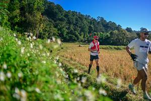 BIB: 
                            <button type="button" onclick="openModal(26571381)" class="btn btn-primary btn-sm float-right btn-popup" data-toggle="modal" data-target=".modal-high-quality">
                        <i class="fas fa-shopping-cart"></i> Add to Cart
                    </button>
                                            <button type="button" onclick="isThisMe(26571381, true)" class="btn btn-success btn-sm float-right btn-popup btn-isme hidden" data-toggle="tooltip" data-placement="bottom" title="นี่คือรูปของคุณใช่ไหม คลิกที่นี่เพื่อเอาเข้าอัลบั้ม">
                        <i class="fas fa-plus"></i> Add to album
                    </button>
                    <button type="button" onclick="isThisMe(26571381, false)" class="btn btn-warning btn-sm float-right btn-popup btn-isnotme hidden">
                        <i class="fas fa-ban"></i> Remove from album
                    </button>