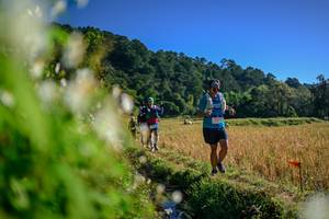 BIB: 
                            <button type="button" onclick="openModal(26572134)" class="btn btn-primary btn-sm float-right btn-popup" data-toggle="modal" data-target=".modal-high-quality">
                        <i class="fas fa-shopping-cart"></i> Add to Cart
                    </button>
                                            <button type="button" onclick="isThisMe(26572134, true)" class="btn btn-success btn-sm float-right btn-popup btn-isme hidden" data-toggle="tooltip" data-placement="bottom" title="นี่คือรูปของคุณใช่ไหม คลิกที่นี่เพื่อเอาเข้าอัลบั้ม">
                        <i class="fas fa-plus"></i> Add to album
                    </button>
                    <button type="button" onclick="isThisMe(26572134, false)" class="btn btn-warning btn-sm float-right btn-popup btn-isnotme hidden">
                        <i class="fas fa-ban"></i> Remove from album
                    </button>