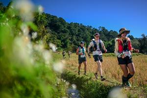 BIB: 
                            <button type="button" onclick="openModal(26574964)" class="btn btn-primary btn-sm float-right btn-popup" data-toggle="modal" data-target=".modal-high-quality">
                        <i class="fas fa-shopping-cart"></i> Add to Cart
                    </button>
                                            <button type="button" onclick="isThisMe(26574964, true)" class="btn btn-success btn-sm float-right btn-popup btn-isme hidden" data-toggle="tooltip" data-placement="bottom" title="นี่คือรูปของคุณใช่ไหม คลิกที่นี่เพื่อเอาเข้าอัลบั้ม">
                        <i class="fas fa-plus"></i> Add to album
                    </button>
                    <button type="button" onclick="isThisMe(26574964, false)" class="btn btn-warning btn-sm float-right btn-popup btn-isnotme hidden">
                        <i class="fas fa-ban"></i> Remove from album
                    </button>