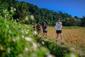 BIB: 
                            <button type="button" onclick="openModal(26582214)" class="btn btn-primary btn-sm float-right btn-popup" data-toggle="modal" data-target=".modal-high-quality">
                        <i class="fas fa-shopping-cart"></i> Add to Cart
                    </button>
                                            <button type="button" onclick="isThisMe(26582214, true)" class="btn btn-success btn-sm float-right btn-popup btn-isme hidden" data-toggle="tooltip" data-placement="bottom" title="นี่คือรูปของคุณใช่ไหม คลิกที่นี่เพื่อเอาเข้าอัลบั้ม">
                        <i class="fas fa-plus"></i> Add to album
                    </button>
                    <button type="button" onclick="isThisMe(26582214, false)" class="btn btn-warning btn-sm float-right btn-popup btn-isnotme hidden">
                        <i class="fas fa-ban"></i> Remove from album
                    </button>