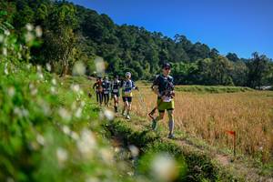 BIB: 
                            <button type="button" onclick="openModal(26576296)" class="btn btn-primary btn-sm float-right btn-popup" data-toggle="modal" data-target=".modal-high-quality">
                        <i class="fas fa-shopping-cart"></i> Add to Cart
                    </button>
                                            <button type="button" onclick="isThisMe(26576296, true)" class="btn btn-success btn-sm float-right btn-popup btn-isme hidden" data-toggle="tooltip" data-placement="bottom" title="นี่คือรูปของคุณใช่ไหม คลิกที่นี่เพื่อเอาเข้าอัลบั้ม">
                        <i class="fas fa-plus"></i> Add to album
                    </button>
                    <button type="button" onclick="isThisMe(26576296, false)" class="btn btn-warning btn-sm float-right btn-popup btn-isnotme hidden">
                        <i class="fas fa-ban"></i> Remove from album
                    </button>