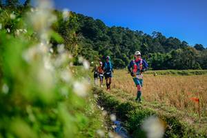 BIB: 
                            <button type="button" onclick="openModal(26572821)" class="btn btn-primary btn-sm float-right btn-popup" data-toggle="modal" data-target=".modal-high-quality">
                        <i class="fas fa-shopping-cart"></i> Add to Cart
                    </button>
                                            <button type="button" onclick="isThisMe(26572821, true)" class="btn btn-success btn-sm float-right btn-popup btn-isme hidden" data-toggle="tooltip" data-placement="bottom" title="นี่คือรูปของคุณใช่ไหม คลิกที่นี่เพื่อเอาเข้าอัลบั้ม">
                        <i class="fas fa-plus"></i> Add to album
                    </button>
                    <button type="button" onclick="isThisMe(26572821, false)" class="btn btn-warning btn-sm float-right btn-popup btn-isnotme hidden">
                        <i class="fas fa-ban"></i> Remove from album
                    </button>