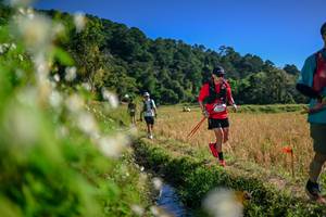 BIB: 
                            <button type="button" onclick="openModal(26574681)" class="btn btn-primary btn-sm float-right btn-popup" data-toggle="modal" data-target=".modal-high-quality">
                        <i class="fas fa-shopping-cart"></i> Add to Cart
                    </button>
                                            <button type="button" onclick="isThisMe(26574681, true)" class="btn btn-success btn-sm float-right btn-popup btn-isme hidden" data-toggle="tooltip" data-placement="bottom" title="นี่คือรูปของคุณใช่ไหม คลิกที่นี่เพื่อเอาเข้าอัลบั้ม">
                        <i class="fas fa-plus"></i> Add to album
                    </button>
                    <button type="button" onclick="isThisMe(26574681, false)" class="btn btn-warning btn-sm float-right btn-popup btn-isnotme hidden">
                        <i class="fas fa-ban"></i> Remove from album
                    </button>