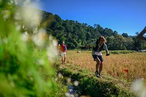 BIB: 
                            <button type="button" onclick="openModal(26572191)" class="btn btn-primary btn-sm float-right btn-popup" data-toggle="modal" data-target=".modal-high-quality">
                        <i class="fas fa-shopping-cart"></i> Add to Cart
                    </button>
                                            <button type="button" onclick="isThisMe(26572191, true)" class="btn btn-success btn-sm float-right btn-popup btn-isme hidden" data-toggle="tooltip" data-placement="bottom" title="นี่คือรูปของคุณใช่ไหม คลิกที่นี่เพื่อเอาเข้าอัลบั้ม">
                        <i class="fas fa-plus"></i> Add to album
                    </button>
                    <button type="button" onclick="isThisMe(26572191, false)" class="btn btn-warning btn-sm float-right btn-popup btn-isnotme hidden">
                        <i class="fas fa-ban"></i> Remove from album
                    </button>