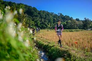 BIB: 
                            <button type="button" onclick="openModal(26571641)" class="btn btn-primary btn-sm float-right btn-popup" data-toggle="modal" data-target=".modal-high-quality">
                        <i class="fas fa-shopping-cart"></i> Add to Cart
                    </button>
                                            <button type="button" onclick="isThisMe(26571641, true)" class="btn btn-success btn-sm float-right btn-popup btn-isme hidden" data-toggle="tooltip" data-placement="bottom" title="นี่คือรูปของคุณใช่ไหม คลิกที่นี่เพื่อเอาเข้าอัลบั้ม">
                        <i class="fas fa-plus"></i> Add to album
                    </button>
                    <button type="button" onclick="isThisMe(26571641, false)" class="btn btn-warning btn-sm float-right btn-popup btn-isnotme hidden">
                        <i class="fas fa-ban"></i> Remove from album
                    </button>