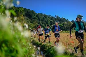 BIB: 
                            <button type="button" onclick="openModal(26575058)" class="btn btn-primary btn-sm float-right btn-popup" data-toggle="modal" data-target=".modal-high-quality">
                        <i class="fas fa-shopping-cart"></i> Add to Cart
                    </button>
                                            <button type="button" onclick="isThisMe(26575058, true)" class="btn btn-success btn-sm float-right btn-popup btn-isme hidden" data-toggle="tooltip" data-placement="bottom" title="นี่คือรูปของคุณใช่ไหม คลิกที่นี่เพื่อเอาเข้าอัลบั้ม">
                        <i class="fas fa-plus"></i> Add to album
                    </button>
                    <button type="button" onclick="isThisMe(26575058, false)" class="btn btn-warning btn-sm float-right btn-popup btn-isnotme hidden">
                        <i class="fas fa-ban"></i> Remove from album
                    </button>