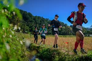 BIB: 
                            <button type="button" onclick="openModal(26579844)" class="btn btn-primary btn-sm float-right btn-popup" data-toggle="modal" data-target=".modal-high-quality">
                        <i class="fas fa-shopping-cart"></i> Add to Cart
                    </button>
                                            <button type="button" onclick="isThisMe(26579844, true)" class="btn btn-success btn-sm float-right btn-popup btn-isme hidden" data-toggle="tooltip" data-placement="bottom" title="นี่คือรูปของคุณใช่ไหม คลิกที่นี่เพื่อเอาเข้าอัลบั้ม">
                        <i class="fas fa-plus"></i> Add to album
                    </button>
                    <button type="button" onclick="isThisMe(26579844, false)" class="btn btn-warning btn-sm float-right btn-popup btn-isnotme hidden">
                        <i class="fas fa-ban"></i> Remove from album
                    </button>