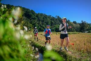 BIB: 
                            <button type="button" onclick="openModal(26575615)" class="btn btn-primary btn-sm float-right btn-popup" data-toggle="modal" data-target=".modal-high-quality">
                        <i class="fas fa-shopping-cart"></i> Add to Cart
                    </button>
                                            <button type="button" onclick="isThisMe(26575615, true)" class="btn btn-success btn-sm float-right btn-popup btn-isme hidden" data-toggle="tooltip" data-placement="bottom" title="นี่คือรูปของคุณใช่ไหม คลิกที่นี่เพื่อเอาเข้าอัลบั้ม">
                        <i class="fas fa-plus"></i> Add to album
                    </button>
                    <button type="button" onclick="isThisMe(26575615, false)" class="btn btn-warning btn-sm float-right btn-popup btn-isnotme hidden">
                        <i class="fas fa-ban"></i> Remove from album
                    </button>