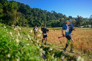 BIB: 
                            <button type="button" onclick="openModal(26571241)" class="btn btn-primary btn-sm float-right btn-popup" data-toggle="modal" data-target=".modal-high-quality">
                        <i class="fas fa-shopping-cart"></i> Add to Cart
                    </button>
                                            <button type="button" onclick="isThisMe(26571241, true)" class="btn btn-success btn-sm float-right btn-popup btn-isme hidden" data-toggle="tooltip" data-placement="bottom" title="นี่คือรูปของคุณใช่ไหม คลิกที่นี่เพื่อเอาเข้าอัลบั้ม">
                        <i class="fas fa-plus"></i> Add to album
                    </button>
                    <button type="button" onclick="isThisMe(26571241, false)" class="btn btn-warning btn-sm float-right btn-popup btn-isnotme hidden">
                        <i class="fas fa-ban"></i> Remove from album
                    </button>