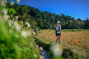 BIB: 
                            <button type="button" onclick="openModal(26573756)" class="btn btn-primary btn-sm float-right btn-popup" data-toggle="modal" data-target=".modal-high-quality">
                        <i class="fas fa-shopping-cart"></i> Add to Cart
                    </button>
                                            <button type="button" onclick="isThisMe(26573756, true)" class="btn btn-success btn-sm float-right btn-popup btn-isme hidden" data-toggle="tooltip" data-placement="bottom" title="นี่คือรูปของคุณใช่ไหม คลิกที่นี่เพื่อเอาเข้าอัลบั้ม">
                        <i class="fas fa-plus"></i> Add to album
                    </button>
                    <button type="button" onclick="isThisMe(26573756, false)" class="btn btn-warning btn-sm float-right btn-popup btn-isnotme hidden">
                        <i class="fas fa-ban"></i> Remove from album
                    </button>