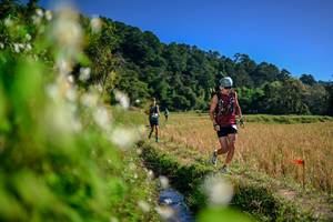 BIB: 
                            <button type="button" onclick="openModal(26575361)" class="btn btn-primary btn-sm float-right btn-popup" data-toggle="modal" data-target=".modal-high-quality">
                        <i class="fas fa-shopping-cart"></i> Add to Cart
                    </button>
                                            <button type="button" onclick="isThisMe(26575361, true)" class="btn btn-success btn-sm float-right btn-popup btn-isme hidden" data-toggle="tooltip" data-placement="bottom" title="นี่คือรูปของคุณใช่ไหม คลิกที่นี่เพื่อเอาเข้าอัลบั้ม">
                        <i class="fas fa-plus"></i> Add to album
                    </button>
                    <button type="button" onclick="isThisMe(26575361, false)" class="btn btn-warning btn-sm float-right btn-popup btn-isnotme hidden">
                        <i class="fas fa-ban"></i> Remove from album
                    </button>