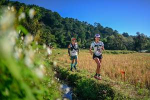 BIB: 
                            <button type="button" onclick="openModal(26571677)" class="btn btn-primary btn-sm float-right btn-popup" data-toggle="modal" data-target=".modal-high-quality">
                        <i class="fas fa-shopping-cart"></i> Add to Cart
                    </button>
                                            <button type="button" onclick="isThisMe(26571677, true)" class="btn btn-success btn-sm float-right btn-popup btn-isme hidden" data-toggle="tooltip" data-placement="bottom" title="นี่คือรูปของคุณใช่ไหม คลิกที่นี่เพื่อเอาเข้าอัลบั้ม">
                        <i class="fas fa-plus"></i> Add to album
                    </button>
                    <button type="button" onclick="isThisMe(26571677, false)" class="btn btn-warning btn-sm float-right btn-popup btn-isnotme hidden">
                        <i class="fas fa-ban"></i> Remove from album
                    </button>