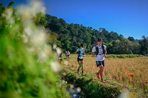 BIB: 
                            <button type="button" onclick="openModal(26572256)" class="btn btn-primary btn-sm float-right btn-popup" data-toggle="modal" data-target=".modal-high-quality">
                        <i class="fas fa-shopping-cart"></i> Add to Cart
                    </button>
                                            <button type="button" onclick="isThisMe(26572256, true)" class="btn btn-success btn-sm float-right btn-popup btn-isme hidden" data-toggle="tooltip" data-placement="bottom" title="นี่คือรูปของคุณใช่ไหม คลิกที่นี่เพื่อเอาเข้าอัลบั้ม">
                        <i class="fas fa-plus"></i> Add to album
                    </button>
                    <button type="button" onclick="isThisMe(26572256, false)" class="btn btn-warning btn-sm float-right btn-popup btn-isnotme hidden">
                        <i class="fas fa-ban"></i> Remove from album
                    </button>