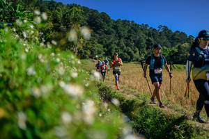 BIB: 
                            <button type="button" onclick="openModal(26583178)" class="btn btn-primary btn-sm float-right btn-popup" data-toggle="modal" data-target=".modal-high-quality">
                        <i class="fas fa-shopping-cart"></i> Add to Cart
                    </button>
                                            <button type="button" onclick="isThisMe(26583178, true)" class="btn btn-success btn-sm float-right btn-popup btn-isme hidden" data-toggle="tooltip" data-placement="bottom" title="นี่คือรูปของคุณใช่ไหม คลิกที่นี่เพื่อเอาเข้าอัลบั้ม">
                        <i class="fas fa-plus"></i> Add to album
                    </button>
                    <button type="button" onclick="isThisMe(26583178, false)" class="btn btn-warning btn-sm float-right btn-popup btn-isnotme hidden">
                        <i class="fas fa-ban"></i> Remove from album
                    </button>