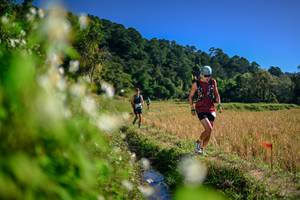 BIB: 
                            <button type="button" onclick="openModal(26575360)" class="btn btn-primary btn-sm float-right btn-popup" data-toggle="modal" data-target=".modal-high-quality">
                        <i class="fas fa-shopping-cart"></i> Add to Cart
                    </button>
                                            <button type="button" onclick="isThisMe(26575360, true)" class="btn btn-success btn-sm float-right btn-popup btn-isme hidden" data-toggle="tooltip" data-placement="bottom" title="นี่คือรูปของคุณใช่ไหม คลิกที่นี่เพื่อเอาเข้าอัลบั้ม">
                        <i class="fas fa-plus"></i> Add to album
                    </button>
                    <button type="button" onclick="isThisMe(26575360, false)" class="btn btn-warning btn-sm float-right btn-popup btn-isnotme hidden">
                        <i class="fas fa-ban"></i> Remove from album
                    </button>