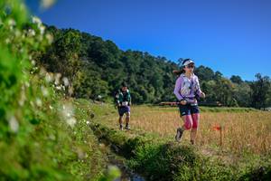 BIB: 
                            <button type="button" onclick="openModal(26580639)" class="btn btn-primary btn-sm float-right btn-popup" data-toggle="modal" data-target=".modal-high-quality">
                        <i class="fas fa-shopping-cart"></i> Add to Cart
                    </button>
                                            <button type="button" onclick="isThisMe(26580639, true)" class="btn btn-success btn-sm float-right btn-popup btn-isme hidden" data-toggle="tooltip" data-placement="bottom" title="นี่คือรูปของคุณใช่ไหม คลิกที่นี่เพื่อเอาเข้าอัลบั้ม">
                        <i class="fas fa-plus"></i> Add to album
                    </button>
                    <button type="button" onclick="isThisMe(26580639, false)" class="btn btn-warning btn-sm float-right btn-popup btn-isnotme hidden">
                        <i class="fas fa-ban"></i> Remove from album
                    </button>