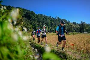 BIB: 
                            <button type="button" onclick="openModal(26575602)" class="btn btn-primary btn-sm float-right btn-popup" data-toggle="modal" data-target=".modal-high-quality">
                        <i class="fas fa-shopping-cart"></i> Add to Cart
                    </button>
                                            <button type="button" onclick="isThisMe(26575602, true)" class="btn btn-success btn-sm float-right btn-popup btn-isme hidden" data-toggle="tooltip" data-placement="bottom" title="นี่คือรูปของคุณใช่ไหม คลิกที่นี่เพื่อเอาเข้าอัลบั้ม">
                        <i class="fas fa-plus"></i> Add to album
                    </button>
                    <button type="button" onclick="isThisMe(26575602, false)" class="btn btn-warning btn-sm float-right btn-popup btn-isnotme hidden">
                        <i class="fas fa-ban"></i> Remove from album
                    </button>