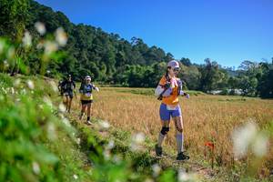 BIB: 
                            <button type="button" onclick="openModal(26576549)" class="btn btn-primary btn-sm float-right btn-popup" data-toggle="modal" data-target=".modal-high-quality">
                        <i class="fas fa-shopping-cart"></i> Add to Cart
                    </button>
                                            <button type="button" onclick="isThisMe(26576549, true)" class="btn btn-success btn-sm float-right btn-popup btn-isme hidden" data-toggle="tooltip" data-placement="bottom" title="นี่คือรูปของคุณใช่ไหม คลิกที่นี่เพื่อเอาเข้าอัลบั้ม">
                        <i class="fas fa-plus"></i> Add to album
                    </button>
                    <button type="button" onclick="isThisMe(26576549, false)" class="btn btn-warning btn-sm float-right btn-popup btn-isnotme hidden">
                        <i class="fas fa-ban"></i> Remove from album
                    </button>