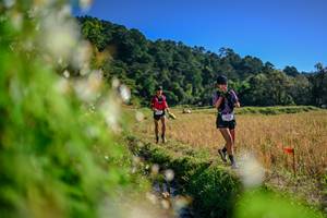 BIB: 
                            <button type="button" onclick="openModal(26572325)" class="btn btn-primary btn-sm float-right btn-popup" data-toggle="modal" data-target=".modal-high-quality">
                        <i class="fas fa-shopping-cart"></i> Add to Cart
                    </button>
                                            <button type="button" onclick="isThisMe(26572325, true)" class="btn btn-success btn-sm float-right btn-popup btn-isme hidden" data-toggle="tooltip" data-placement="bottom" title="นี่คือรูปของคุณใช่ไหม คลิกที่นี่เพื่อเอาเข้าอัลบั้ม">
                        <i class="fas fa-plus"></i> Add to album
                    </button>
                    <button type="button" onclick="isThisMe(26572325, false)" class="btn btn-warning btn-sm float-right btn-popup btn-isnotme hidden">
                        <i class="fas fa-ban"></i> Remove from album
                    </button>