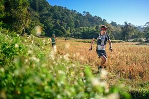 BIB: 
                            <button type="button" onclick="openModal(26570255)" class="btn btn-primary btn-sm float-right btn-popup" data-toggle="modal" data-target=".modal-high-quality">
                        <i class="fas fa-shopping-cart"></i> Add to Cart
                    </button>
                                            <button type="button" onclick="isThisMe(26570255, true)" class="btn btn-success btn-sm float-right btn-popup btn-isme hidden" data-toggle="tooltip" data-placement="bottom" title="นี่คือรูปของคุณใช่ไหม คลิกที่นี่เพื่อเอาเข้าอัลบั้ม">
                        <i class="fas fa-plus"></i> Add to album
                    </button>
                    <button type="button" onclick="isThisMe(26570255, false)" class="btn btn-warning btn-sm float-right btn-popup btn-isnotme hidden">
                        <i class="fas fa-ban"></i> Remove from album
                    </button>