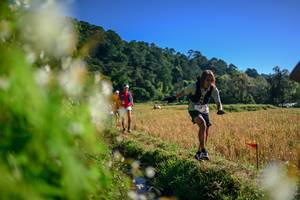 BIB: 
                            <button type="button" onclick="openModal(26572192)" class="btn btn-primary btn-sm float-right btn-popup" data-toggle="modal" data-target=".modal-high-quality">
                        <i class="fas fa-shopping-cart"></i> Add to Cart
                    </button>
                                            <button type="button" onclick="isThisMe(26572192, true)" class="btn btn-success btn-sm float-right btn-popup btn-isme hidden" data-toggle="tooltip" data-placement="bottom" title="นี่คือรูปของคุณใช่ไหม คลิกที่นี่เพื่อเอาเข้าอัลบั้ม">
                        <i class="fas fa-plus"></i> Add to album
                    </button>
                    <button type="button" onclick="isThisMe(26572192, false)" class="btn btn-warning btn-sm float-right btn-popup btn-isnotme hidden">
                        <i class="fas fa-ban"></i> Remove from album
                    </button>